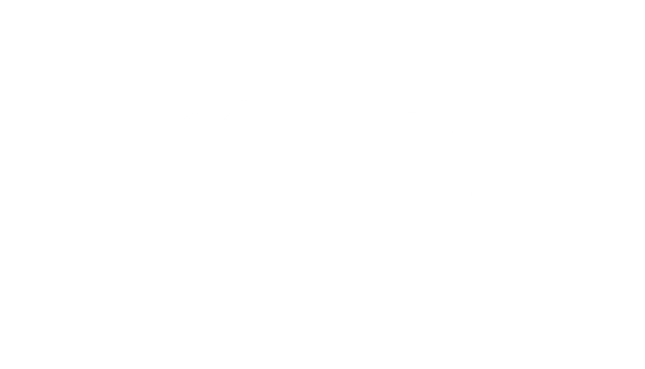 BALO TAXI BISNIS CARD-2